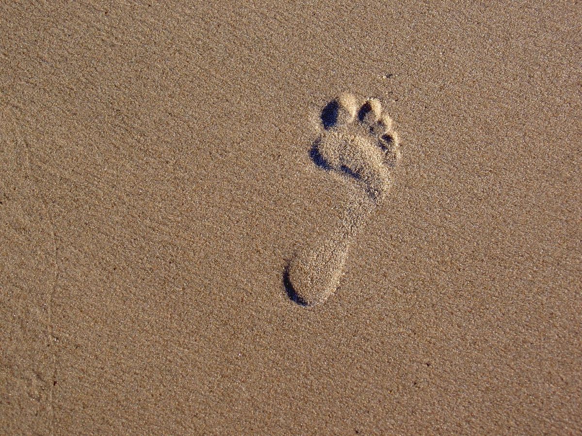 Manos sosteniendo una planta pequeña sobre fondo verde natural